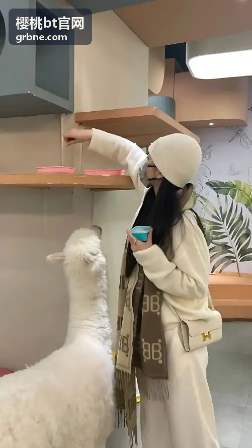  - 樱桃bt官网资源